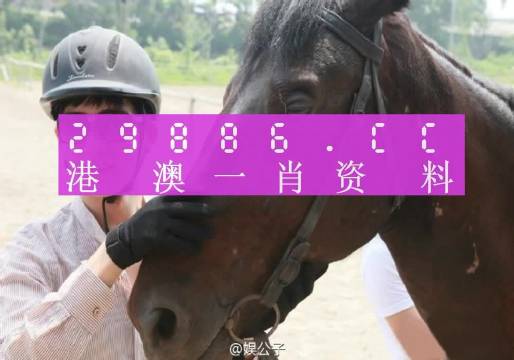 澳门必中一一肖一码服务内容：精选解析解释落实